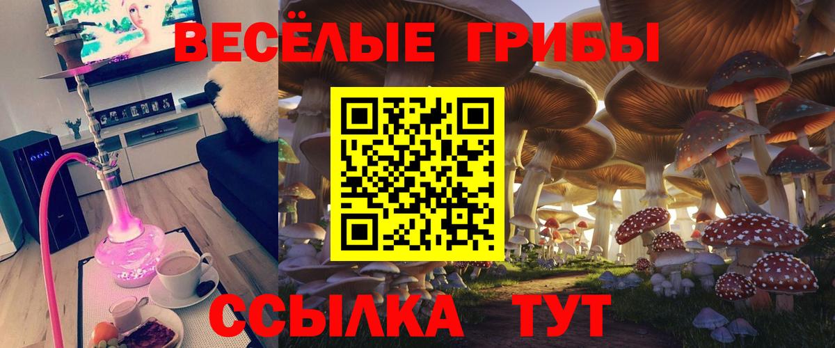 Галлюциногенные грибы мицелий  Галлюциногенные грибы ЛСД  Вход с VPN  Тобольск 